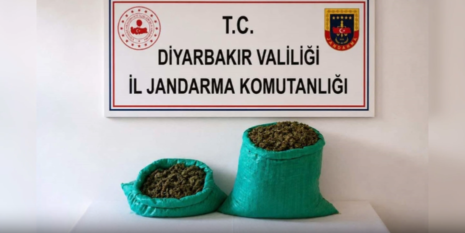 Türkiye genelinde uyuşturucu ve yasa dışı kenevir operasyonu: 80 gözaltı
