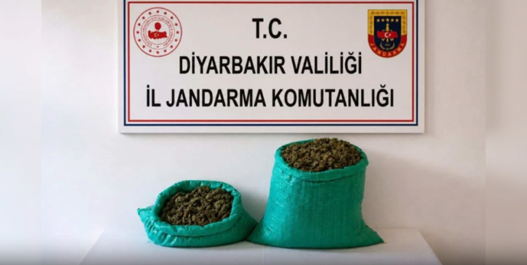 Türkiye genelinde uyuşturucu ve yasa dışı kenevir operasyonu: 80 gözaltı
